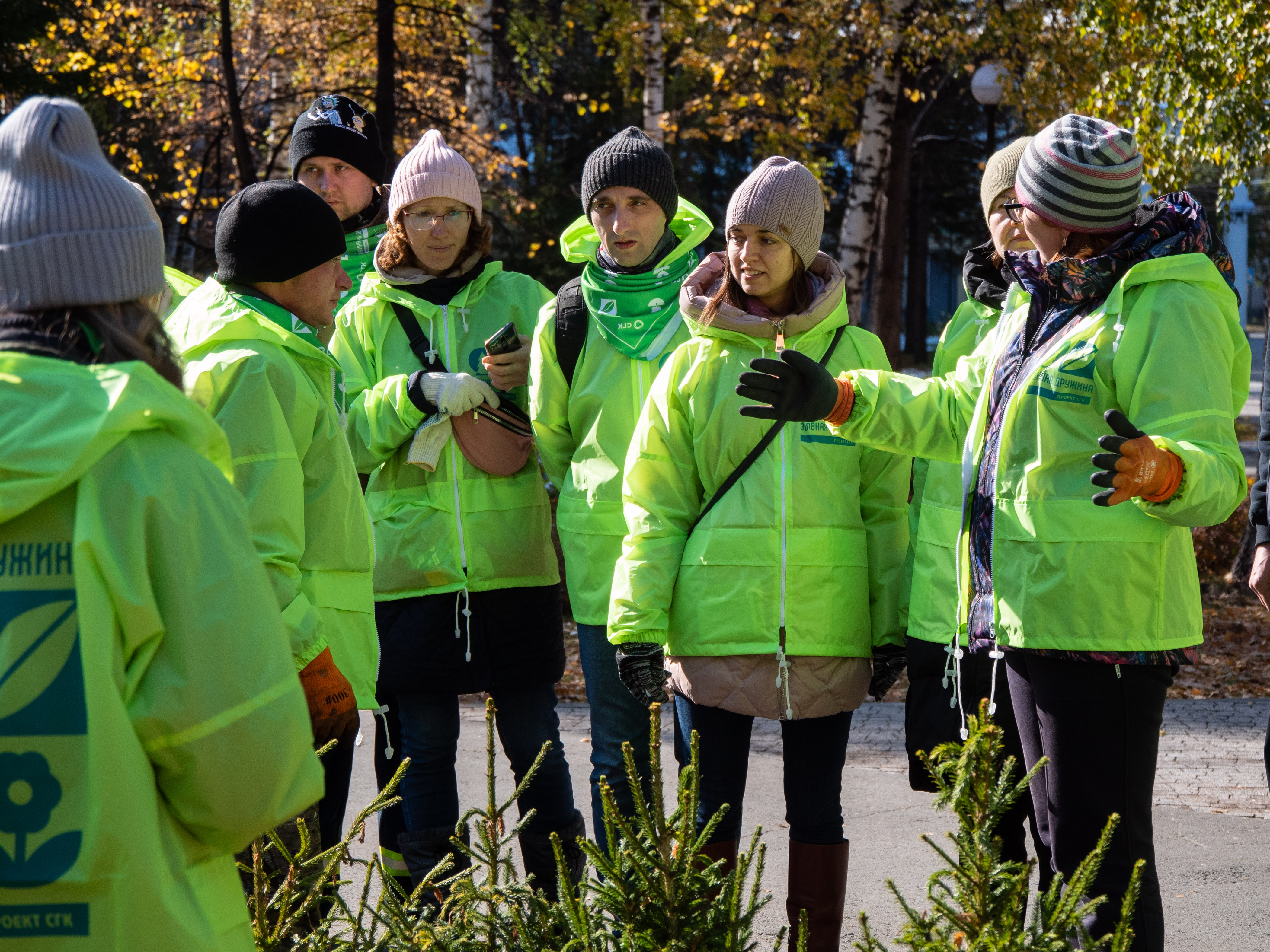 Солнце в октябре. В Новосибирске завершился осенний марафон «Зеленой дружины»