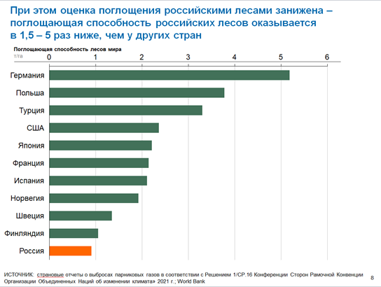 Оценка поглощения СО2 российскими лесами занижена в несколько раз