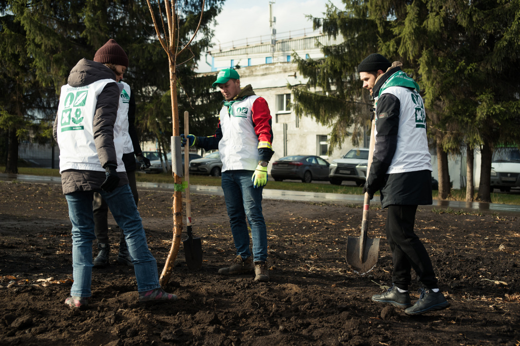 В высадке деревьев приняли участие волонтеры Зеленой дружины СГК 