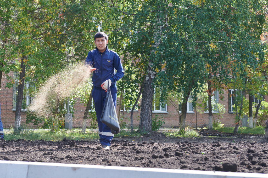 Около 100 килограммов семян травяной смеси посеяли на газоне рядом с Красноярским монтажным колледжем на ул. Матросова, где этим летом обновили теплосети